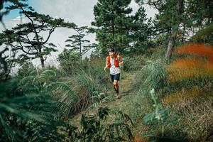 BIB: 
                            <button type="button" onclick="openModal(25257936)" class="btn btn-primary btn-sm float-right btn-popup" data-toggle="modal" data-target=".modal-high-quality">
                        <i class="fas fa-shopping-cart"></i> Add to Cart
                    </button>
                                            <button type="button" onclick="isThisMe(25257936, true)" class="btn btn-success btn-sm float-right btn-popup btn-isme hidden" data-toggle="tooltip" data-placement="bottom" title="นี่คือรูปของคุณใช่ไหม คลิกที่นี่เพื่อเอาเข้าอัลบั้ม">
                        <i class="fas fa-plus"></i> Add to album
                    </button>
                    <button type="button" onclick="isThisMe(25257936, false)" class="btn btn-warning btn-sm float-right btn-popup btn-isnotme hidden">
                        <i class="fas fa-ban"></i> Remove from album
                    </button>